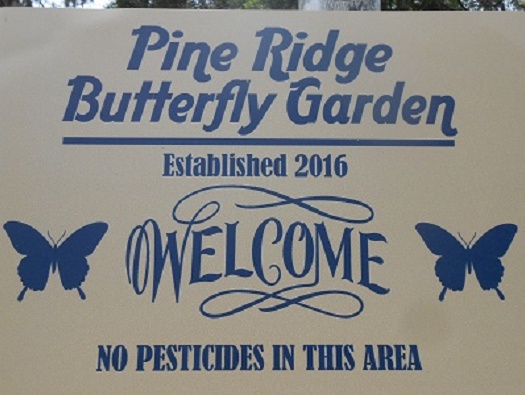 Butterfly Garden